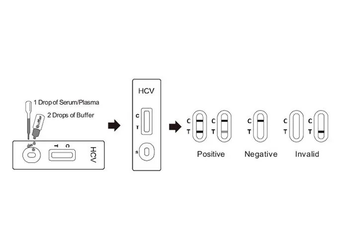 rapid-anti-hcv-test-3.jpg