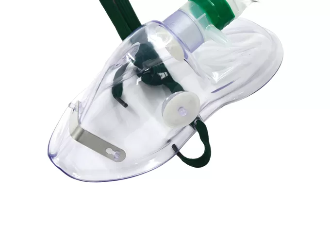 accessories muscle respiratory