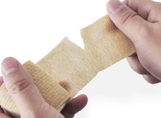 blood pressure cuff and pulse oximeter