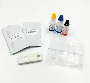 BV Bacterial Vaginosis Test