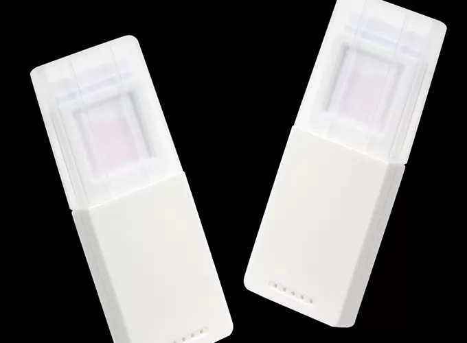 canine t&s ige test kit (t+74s)