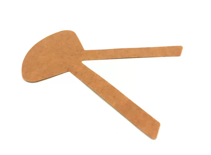 catheter fixation dressing selection