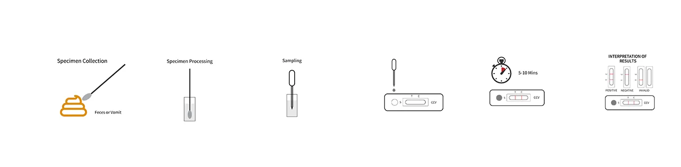 ccv-canine-coronavirus-test1.png ccv-canine-coronavirus-test1.png