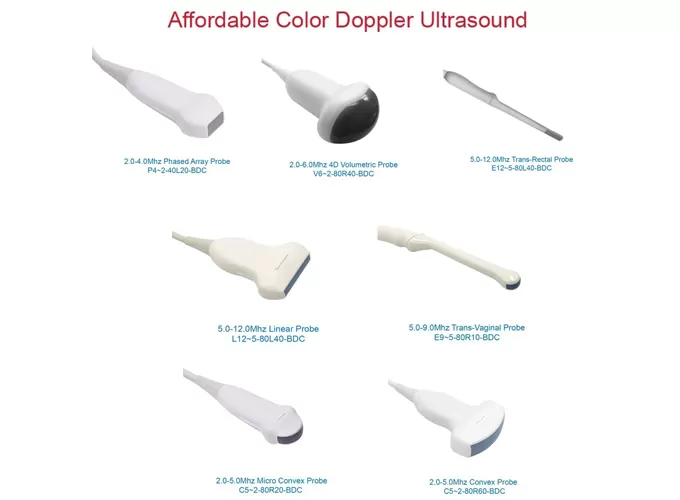 cms1700b vet veterinary ultrasound for sale