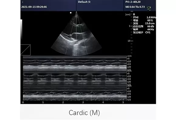 Precise animal husbandry application Use