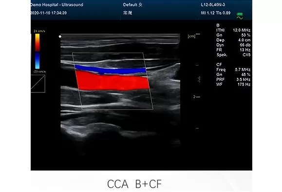 Professional imaging system