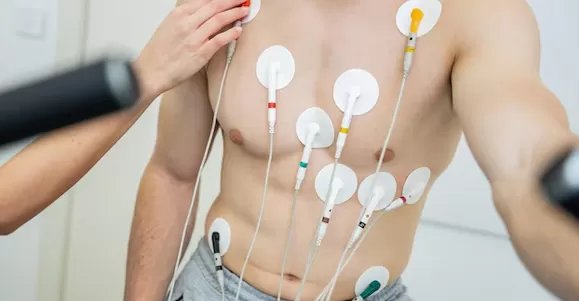 Main Uses of Electrode