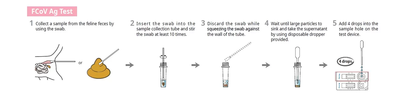 fcov-feline-coronavirus-test-step.png