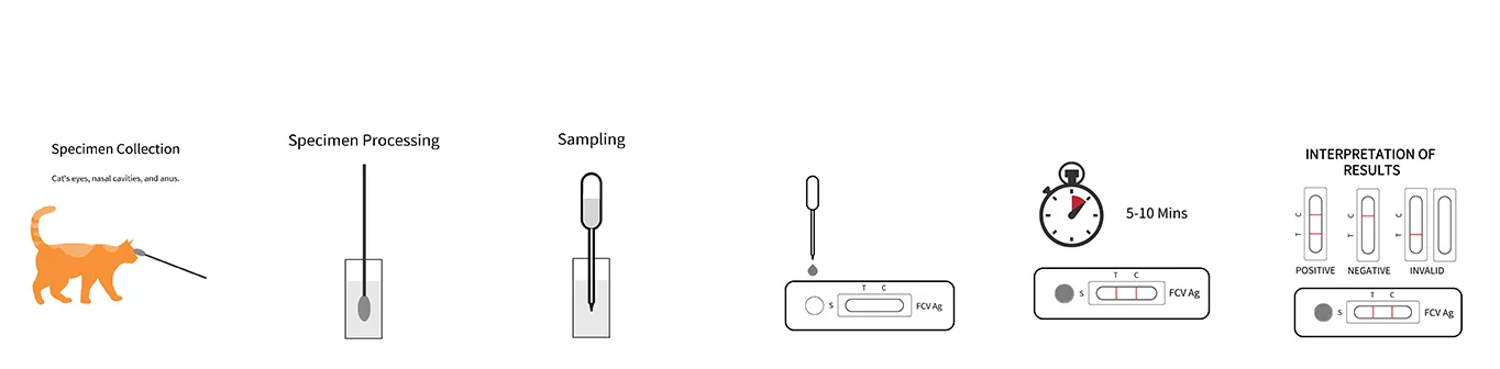fcv-feline-calicivirus-test-step.png