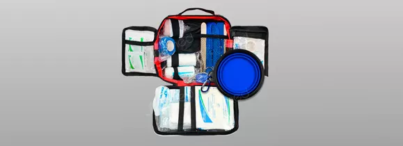 Emergency Slip-On Leash