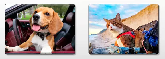 Essential First Aid Supplies