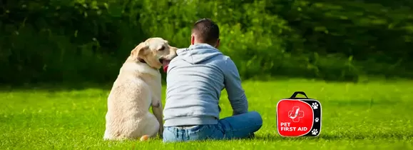 Efficient Tick Removal Tool