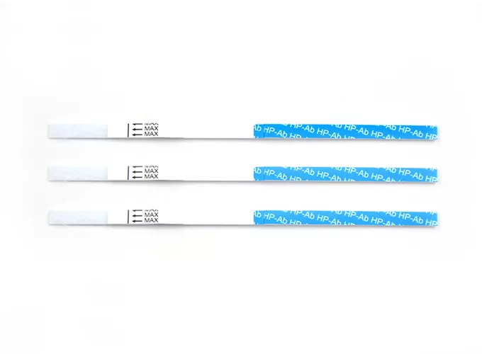 h pylori test exporter