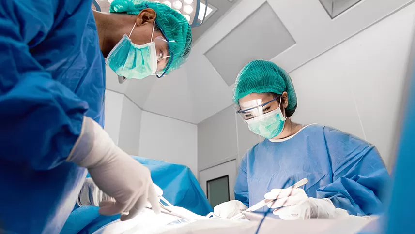 Do You Provide Training or Support for Using Your Products?