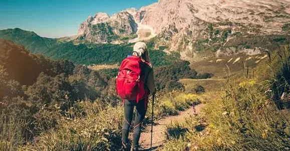 hydrocolloid wound closure device kinds