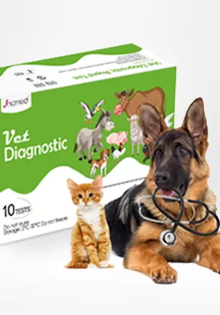 In Vitro Diagnostic Kit