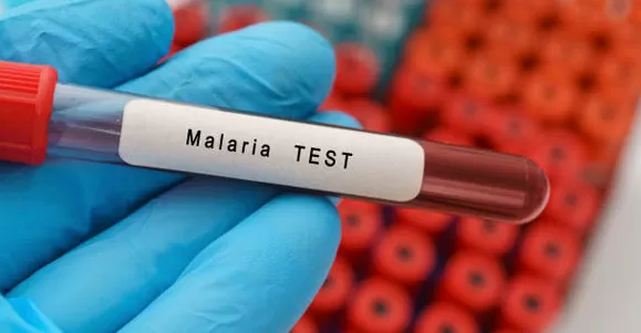 Application of Malaria Test