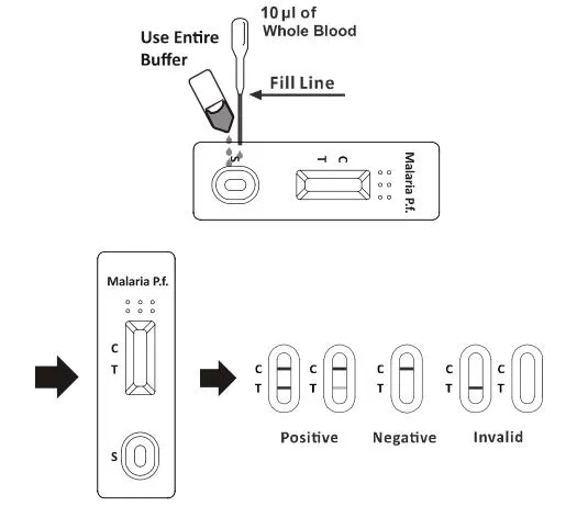 Steps for Using a Malaria Test