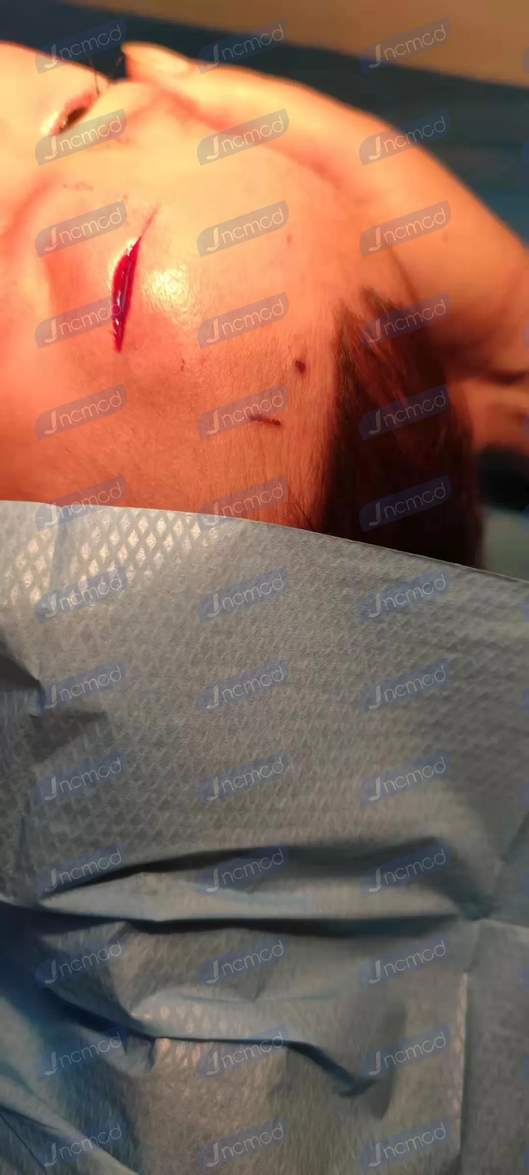 sporting dog first aid kit.jpg