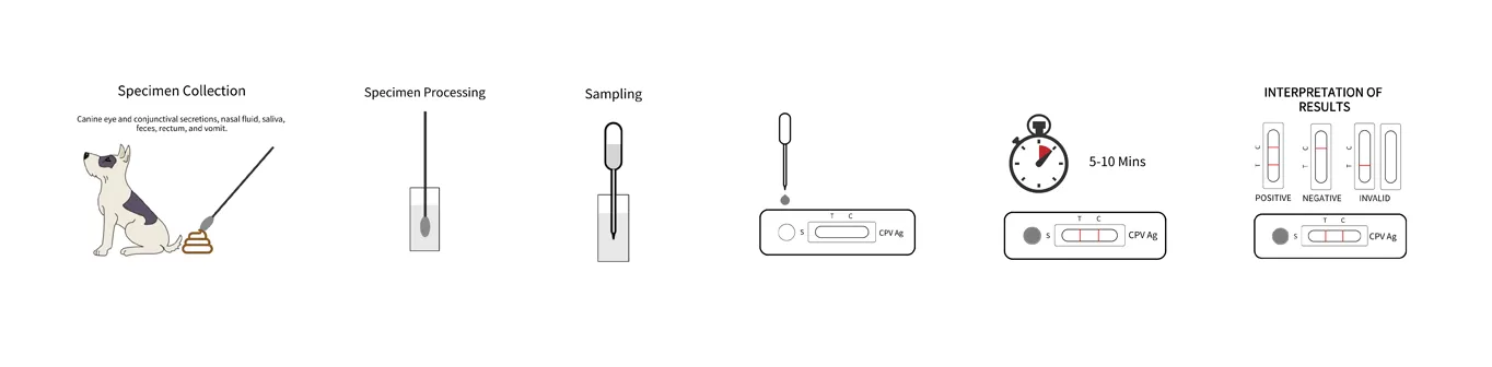 steps-for-using-a-cpv-canine-parvovirus-test.png