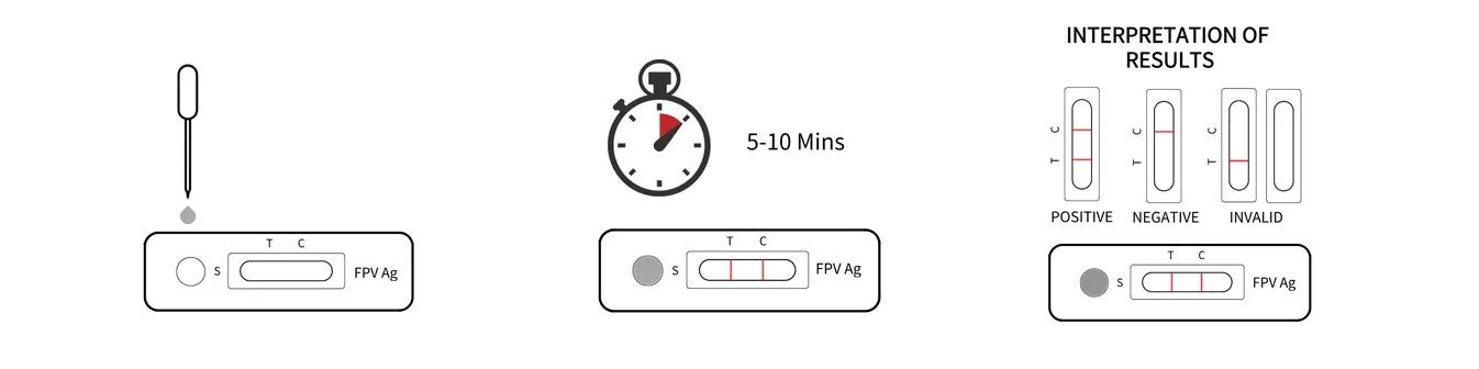 Steps for Using a FPV Feline Panleukopenia Virus Test