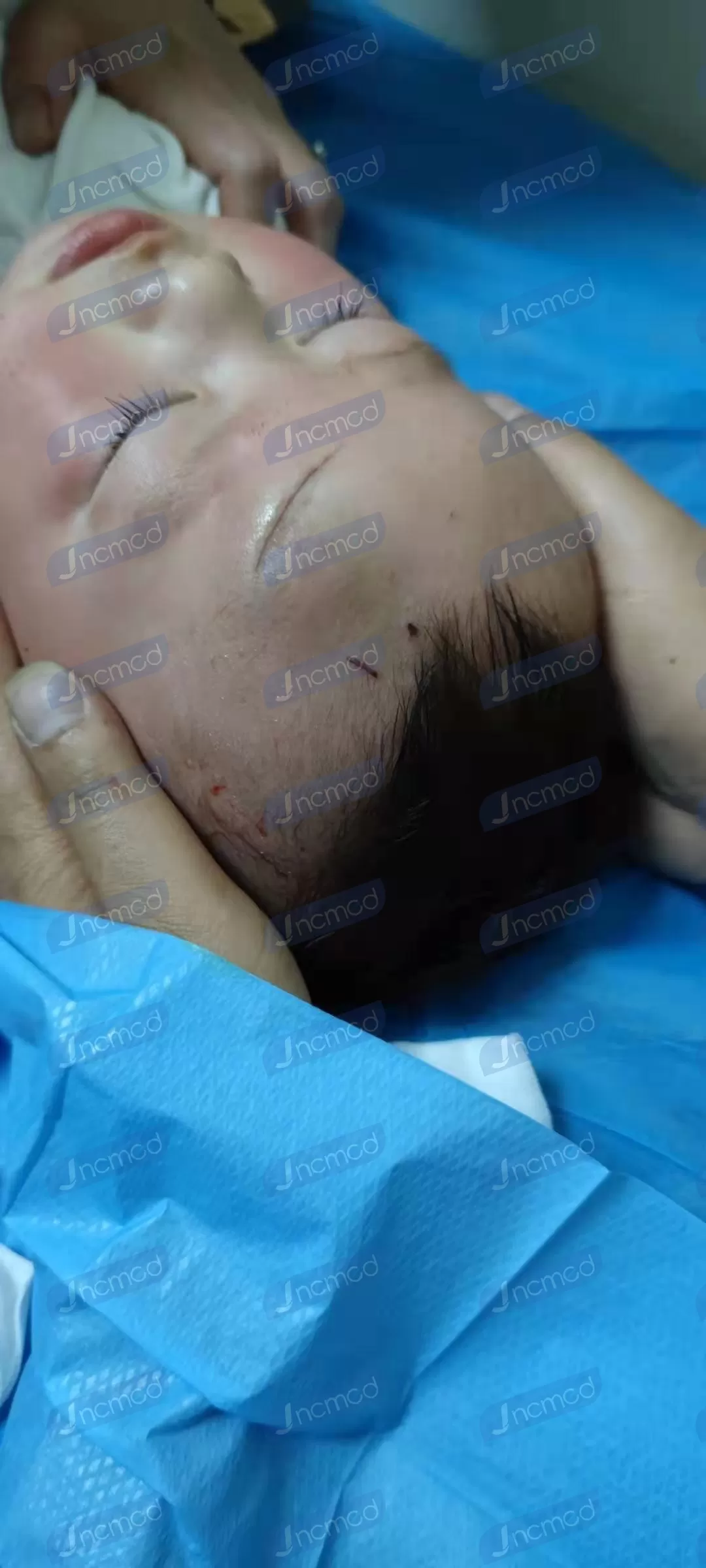 syringe for dog food.jpg