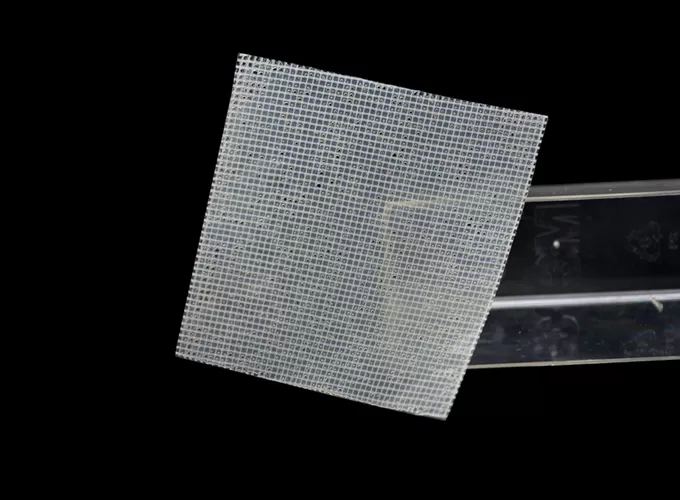 vaseline gauze dressing manufacturers