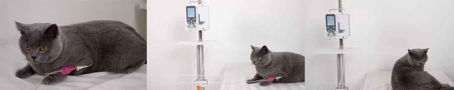 Steps for Using a Veterinary Infusion Pump